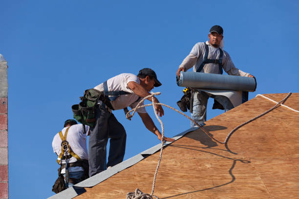 Best Metal Roofing Contractor  in Howey In The Hills, FL